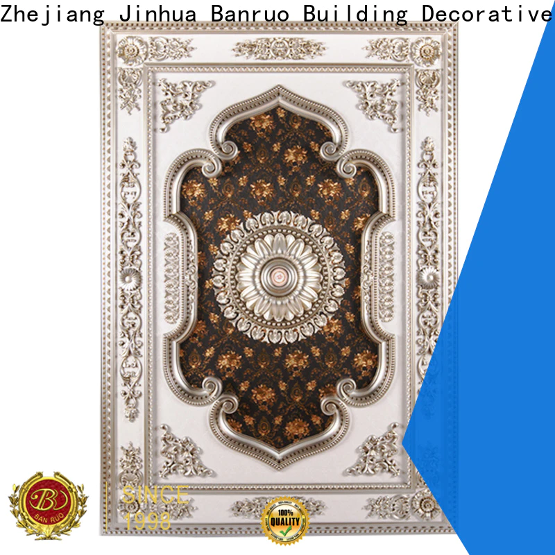 Banruo top selling suspended ceiling types company for decor
